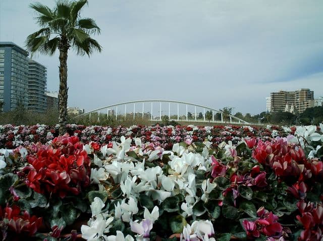 Puente de las Flores junto al Jardín del Turia de Valencia